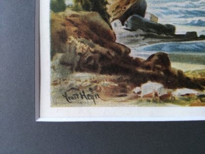 Palmy winne na plaży w Sri Lance, Ernst Heyn, reprodukcja - obrazek 4
