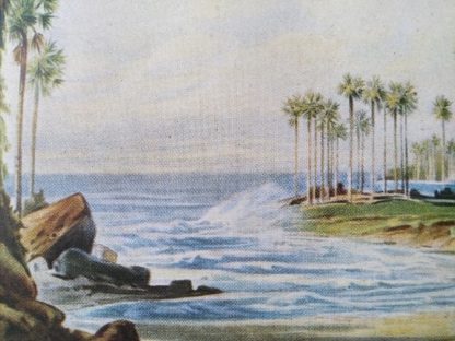 Palmy winne na plaży w Sri Lance, Ernst Heyn, reprodukcja - obrazek 3